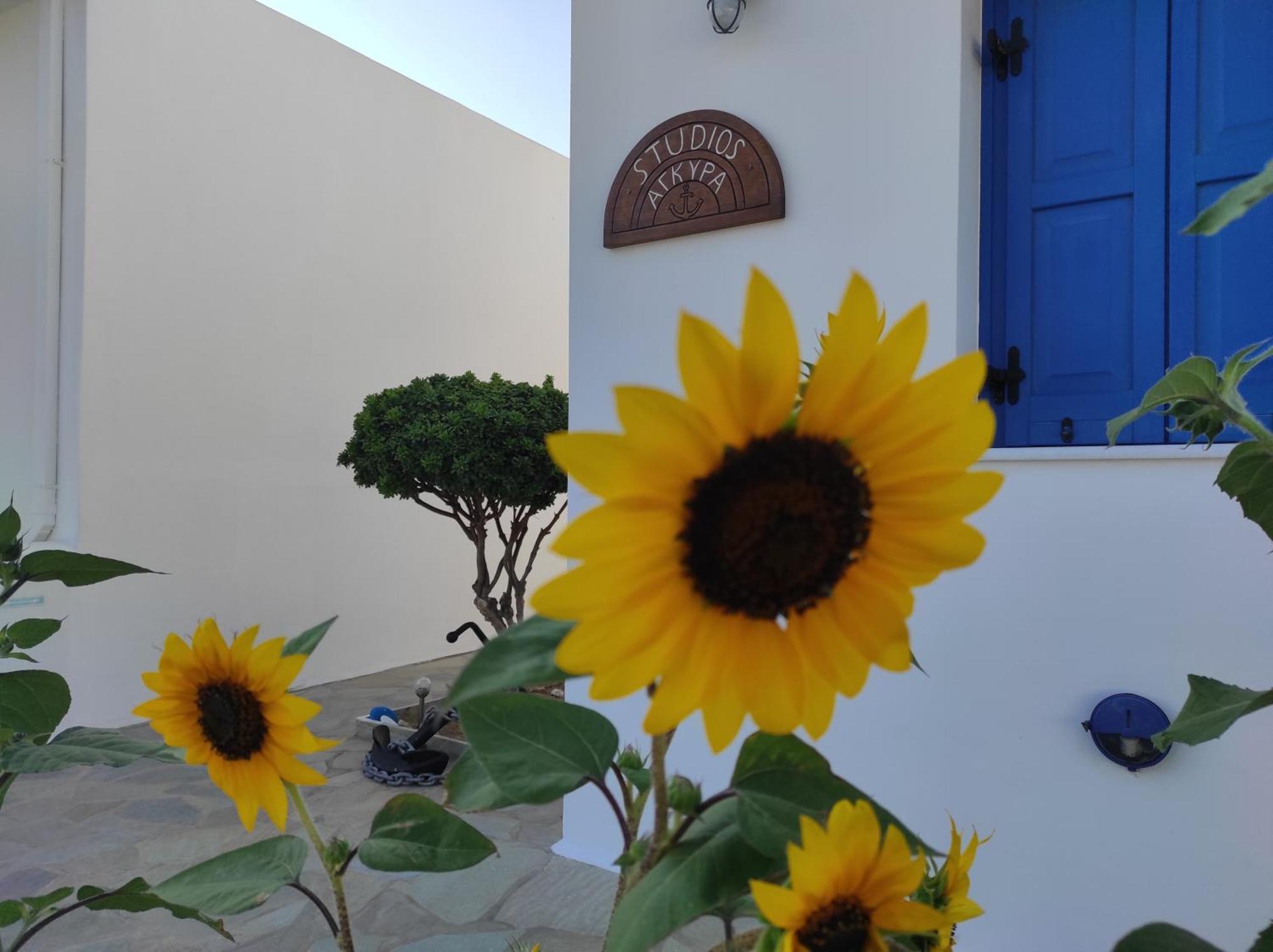 Studios Αγκυρα Livadi  ภายนอก รูปภาพ